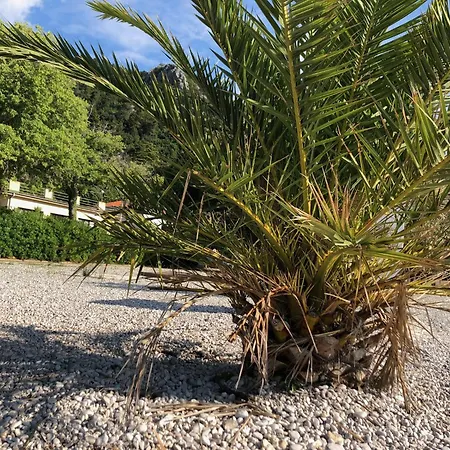 Appartamento Sabine Losinj *